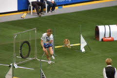 jumping jednotlivci