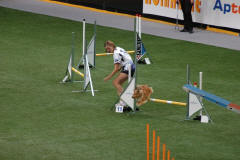 agility jednotlivci