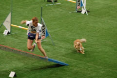 agility dru�stev