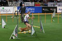 jumping dru�stev