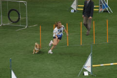 jumping dru�stev
