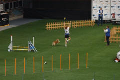 jumping dru�stev
